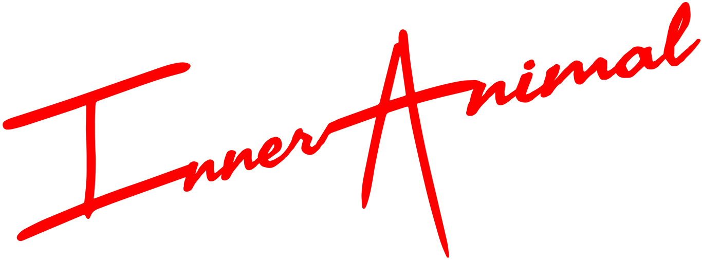 InnerAnimal Media - Digital Agency & Creative Studio