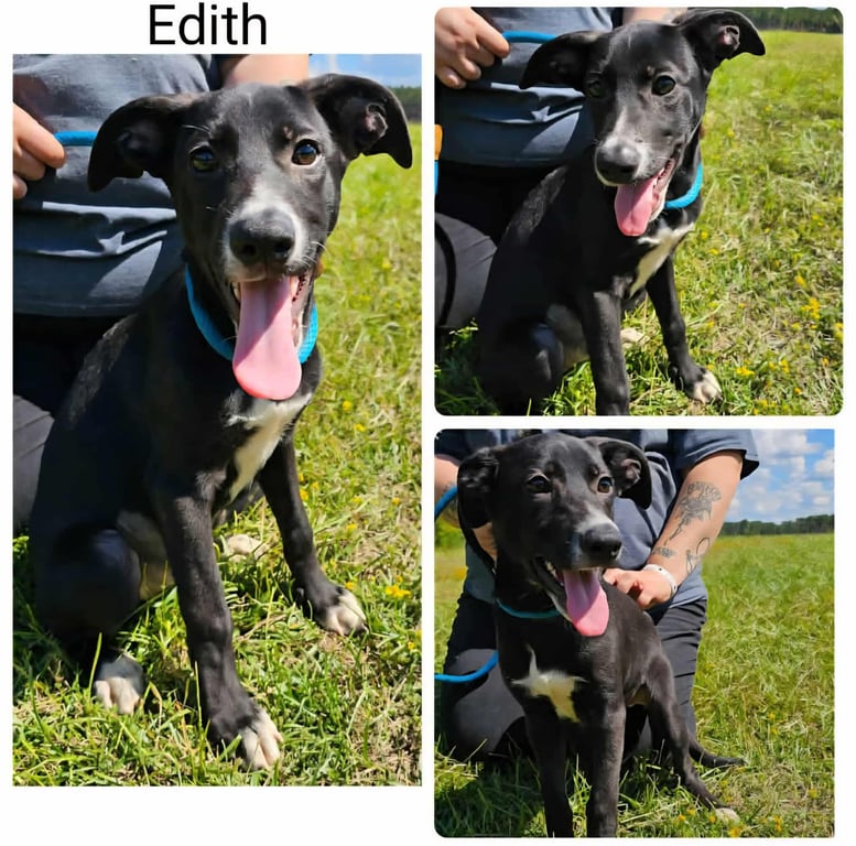 Edith photo