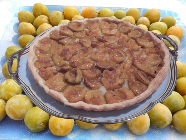 Tarte aux Reines-Claudes