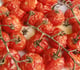 Tomates cerises confites