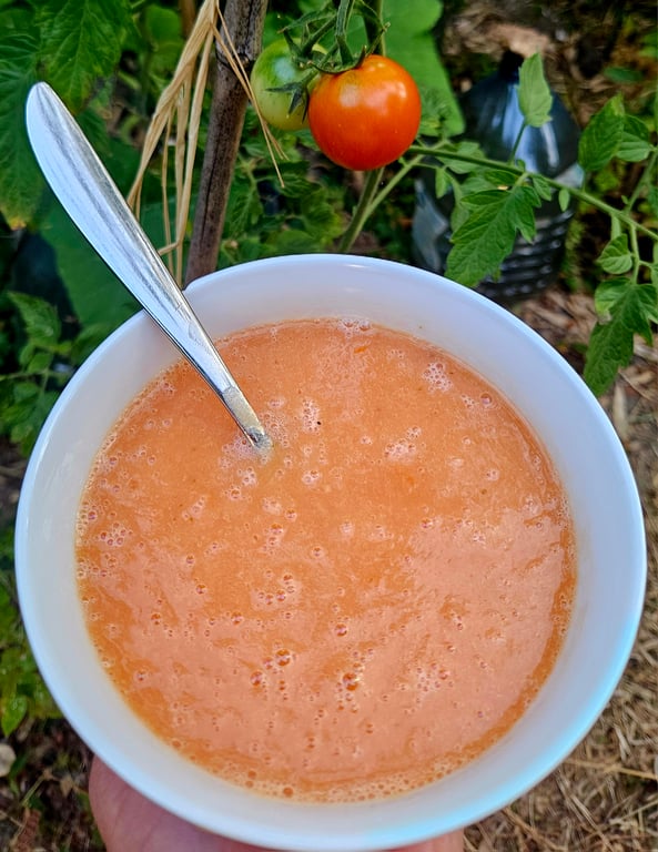 Velouté de tomates