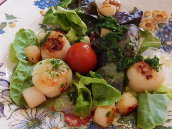 Salade de coquilles Saint-Jacques