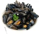 Moules marinières