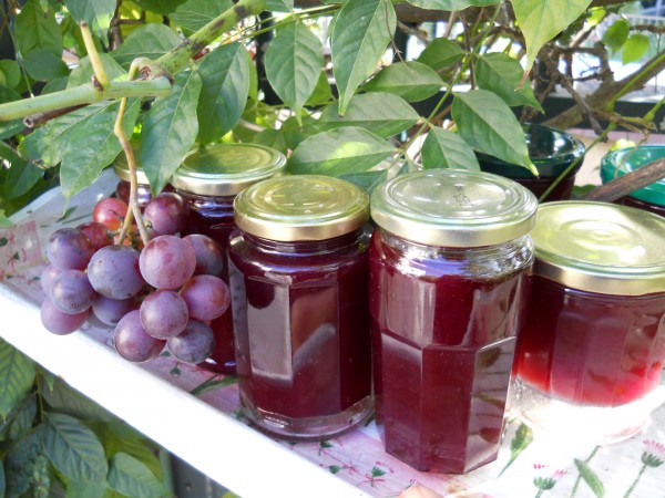 Gelée de raisins noirs