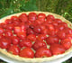 Tarte aux fraises
