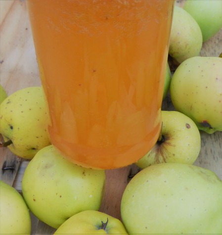 Jus de pommes du jardin à conserver