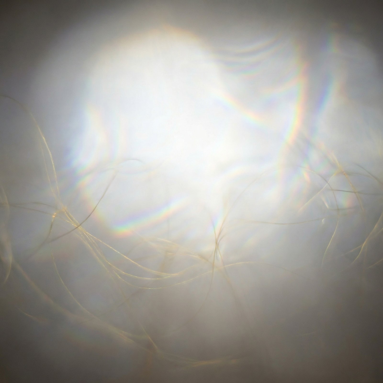 The Alive Moment: What's Actually Happening Right Now