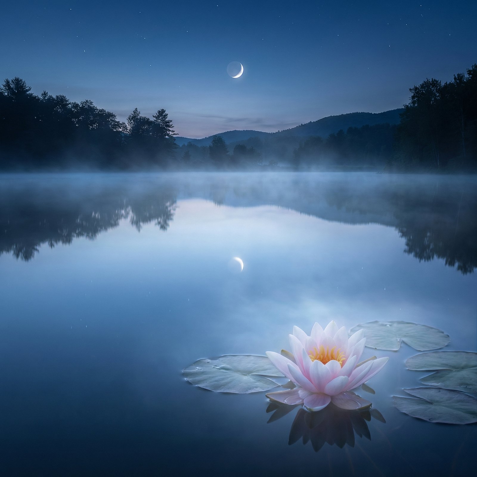 The Space Between Teachings