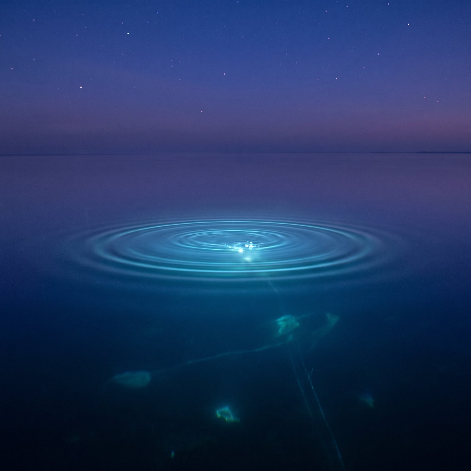When the Ocean Speaks Too Much: The Threshold Between Teaching and Space