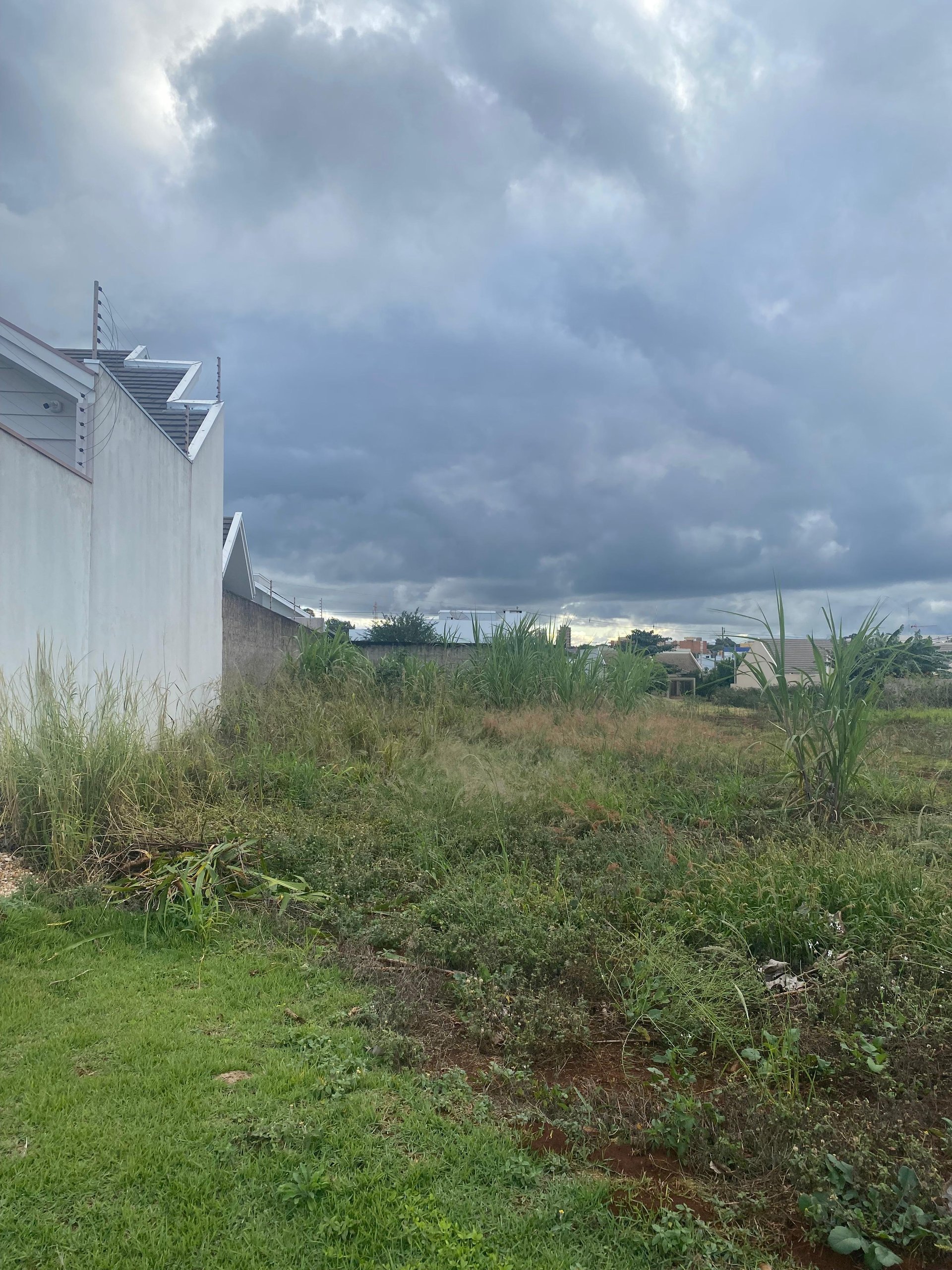 Terreno