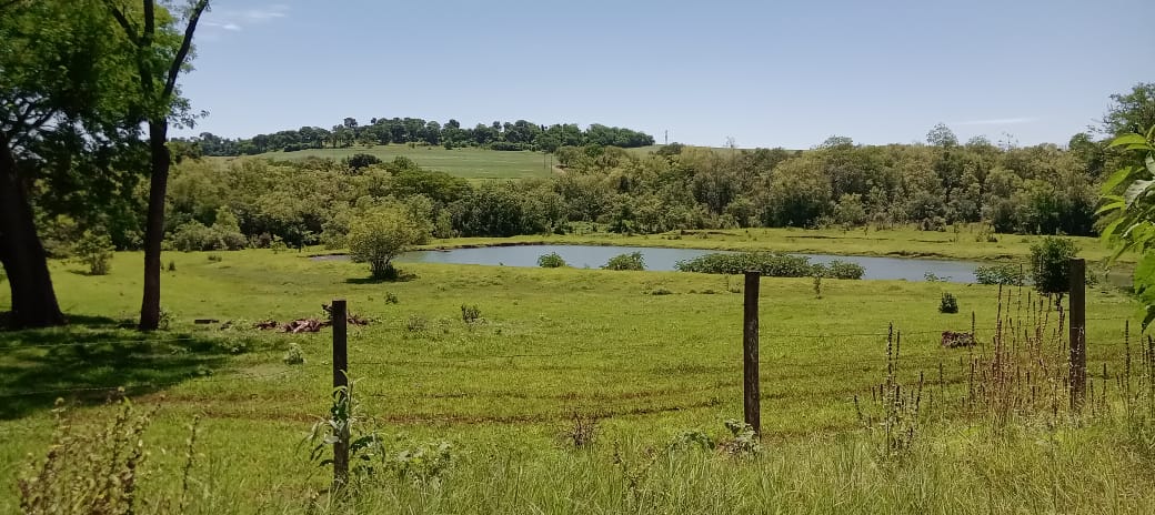 Chácara com 6.6 hectares + 2 casas, 2 galpões e açude — foto 6