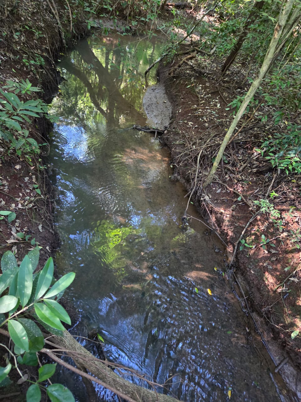 Chácara com 36.910m2 — foto 6