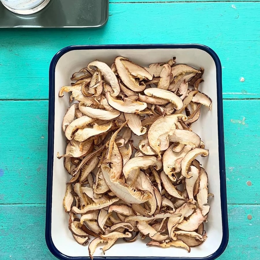 The Mushroom Cartel