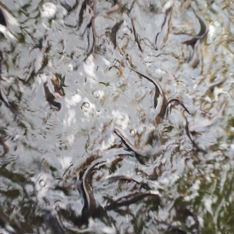 Fish basins