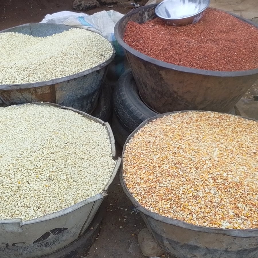 Corn, maize per mudu