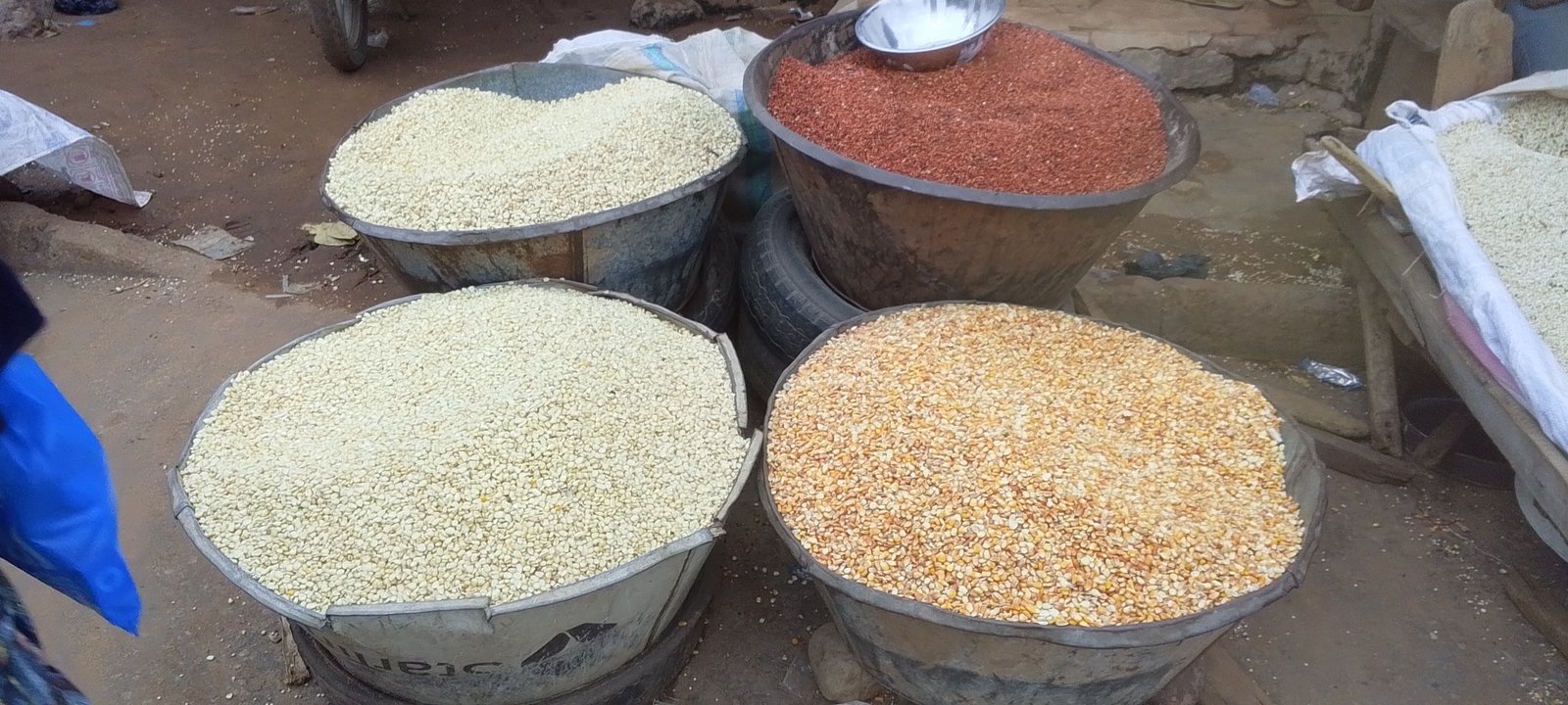 Corn, maize per mudu