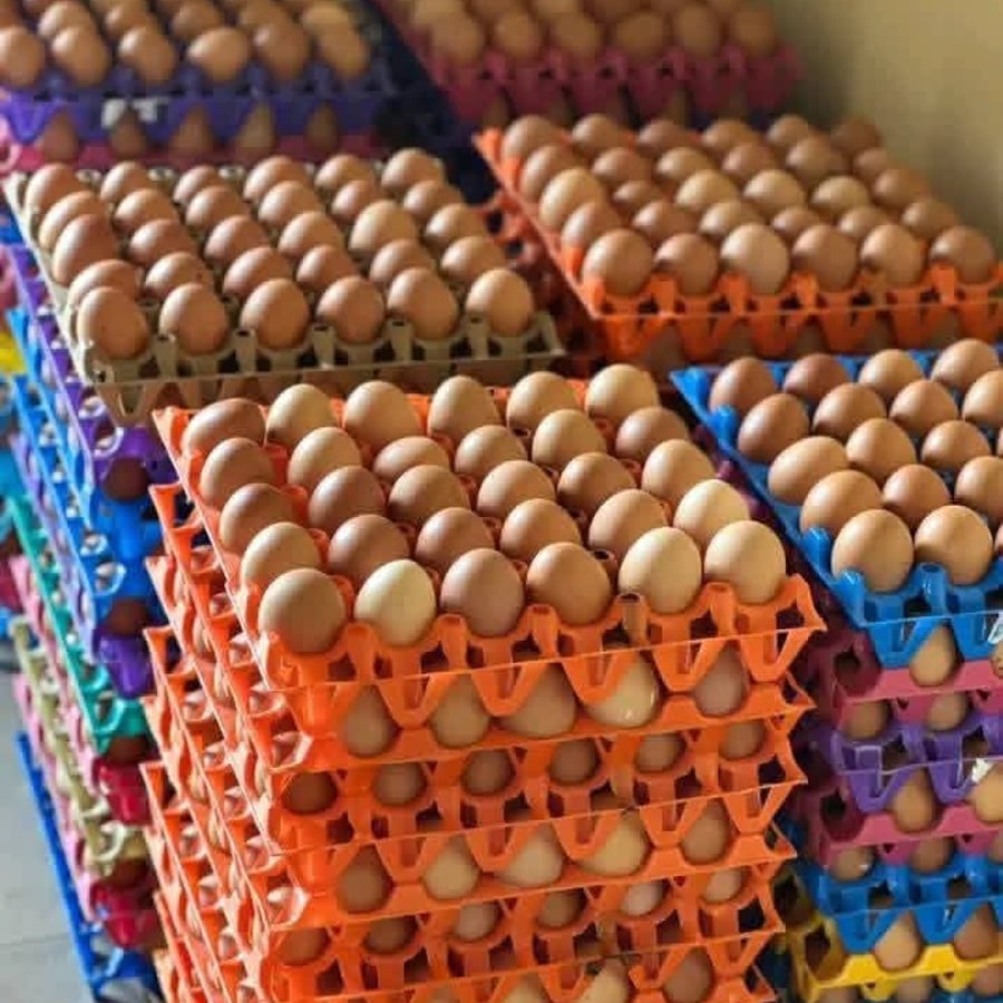 Crate of eggs