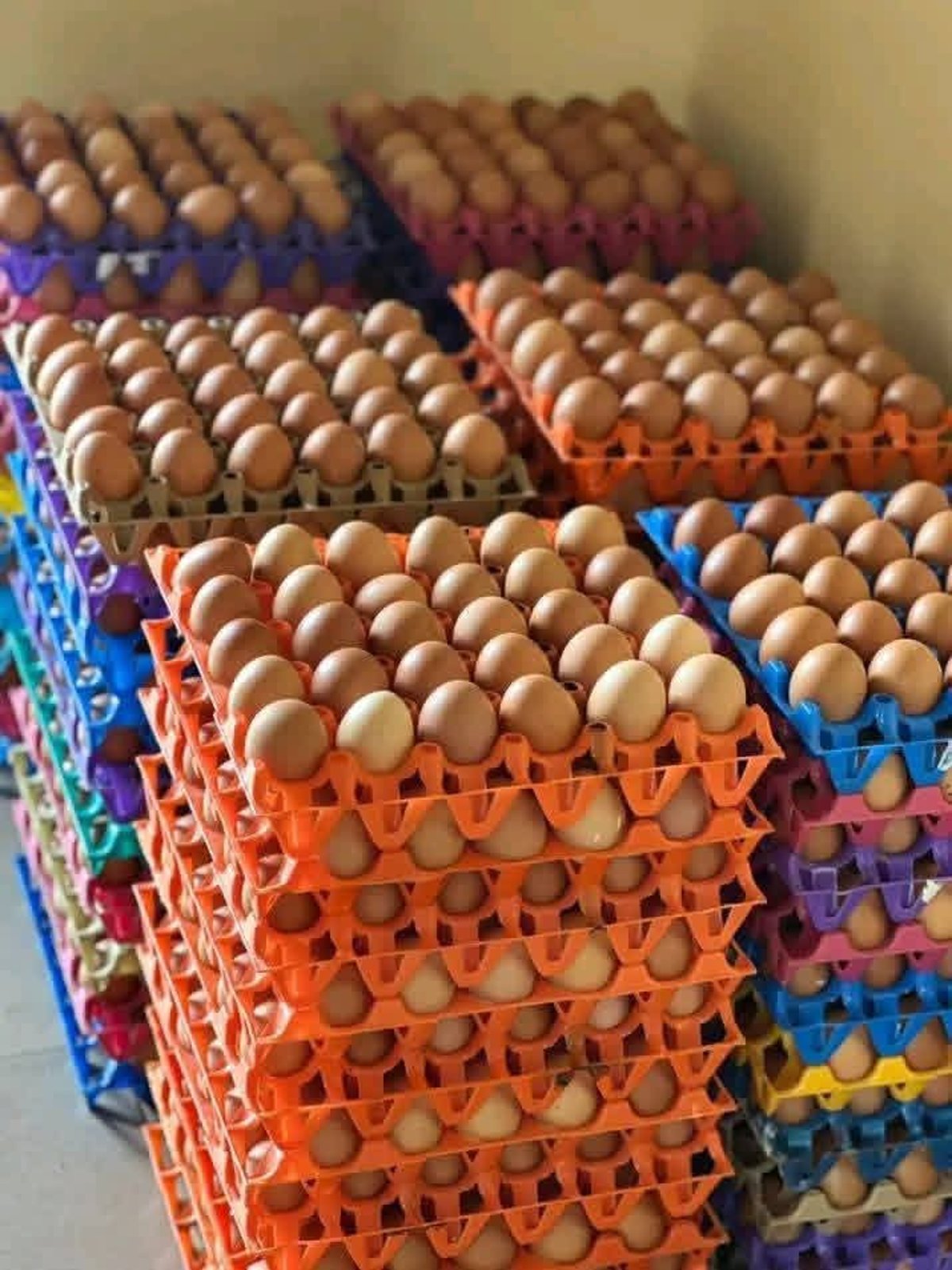 Crate of eggs