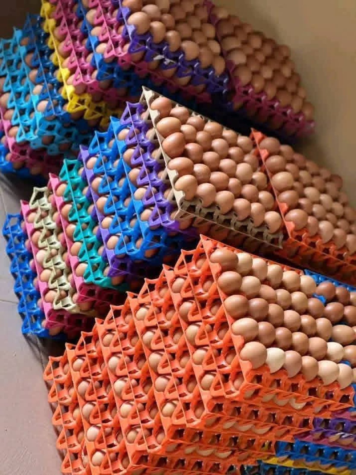 Crate of eggs