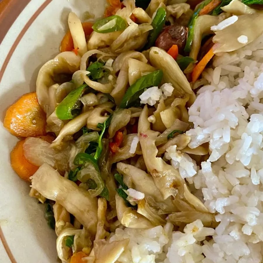🍄 Freshly Prepared Mushroom Meals
