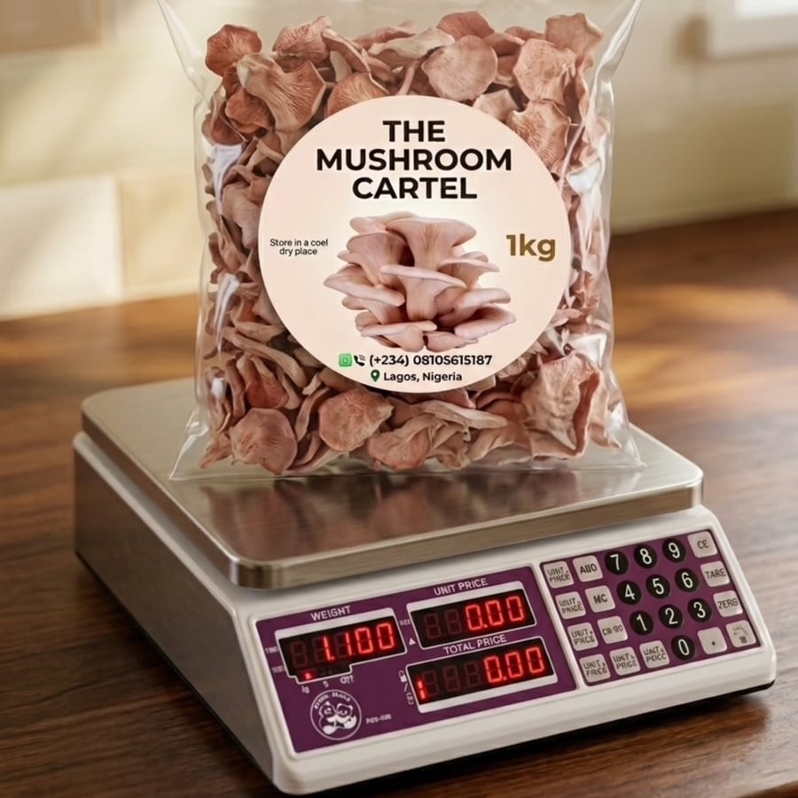 Premium Fresh Oyster Mushrooms (1kg Pack)