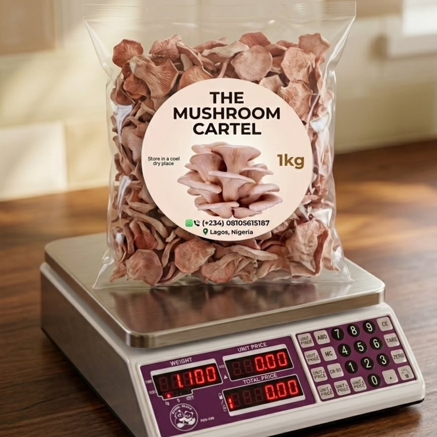 Premium Fresh Oyster Mushrooms (1kg Pack)