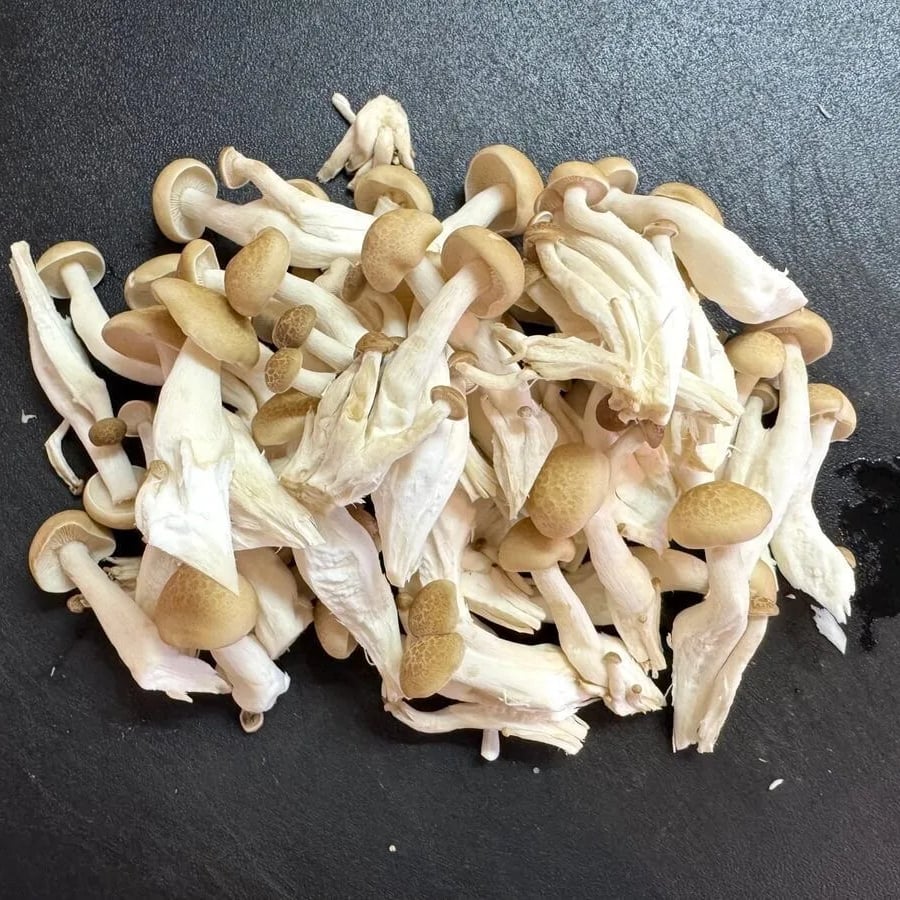 🍄 Farm-Fresh Dried Oyster Mushrooms