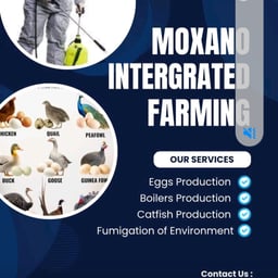 MOXANO INTEGRATED FARMING avatar