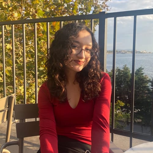 Irmak Çakıcı