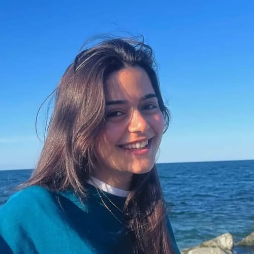 Asmin Erdem