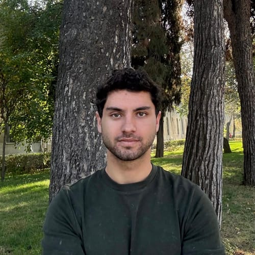 Mustafa Mert