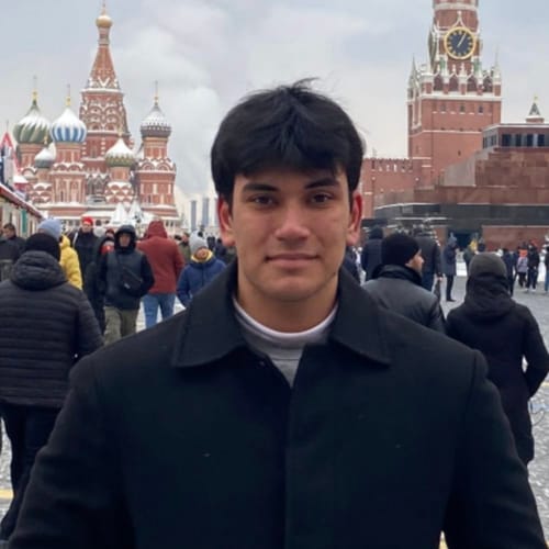 Timur Akın Efe