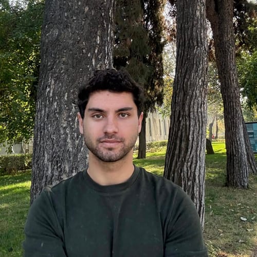 Mustafa Mert