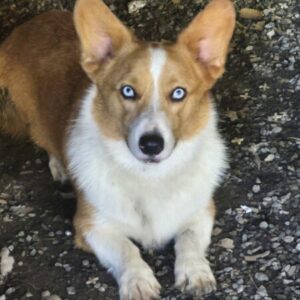 Profile photo of Jay N