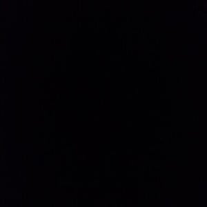 Profile photo of Clint Reed