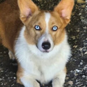 Profile photo of Jay N
