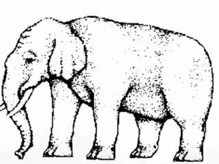 누구나 속는 착시현상