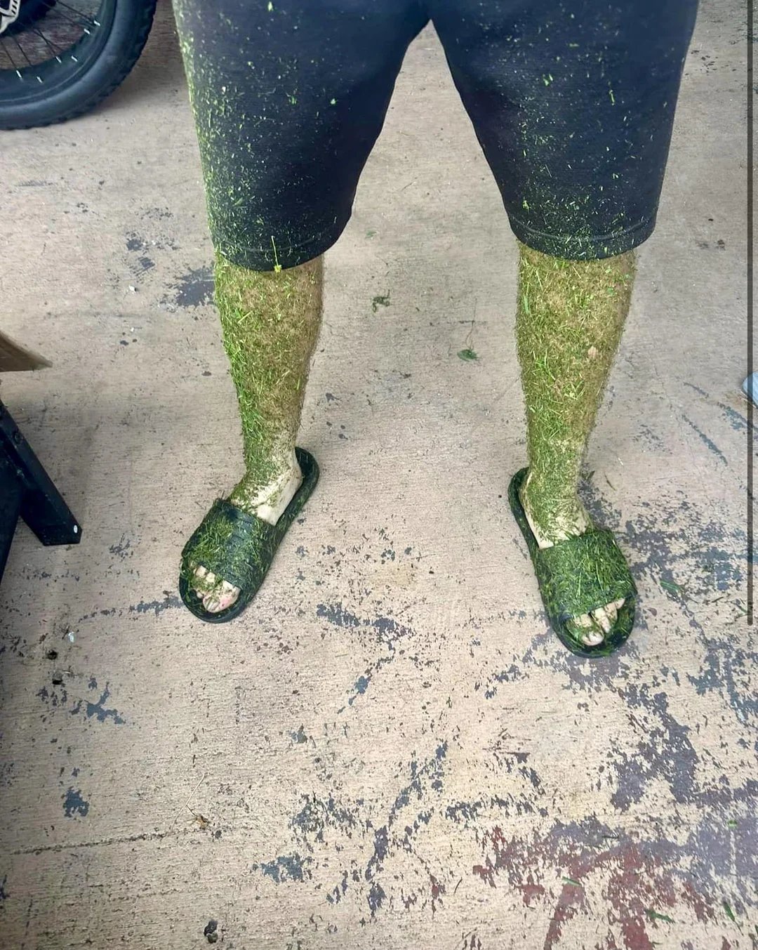 Selected file preview 0