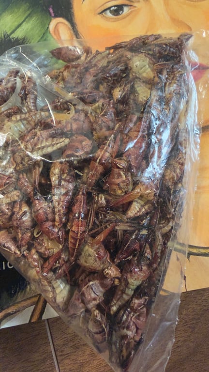 Would you eat crickets?