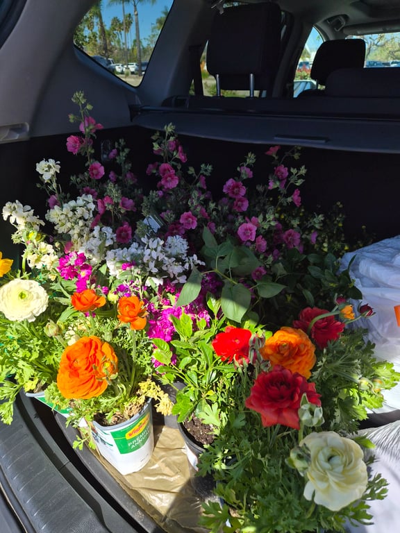 Flower or Vegatable Garden