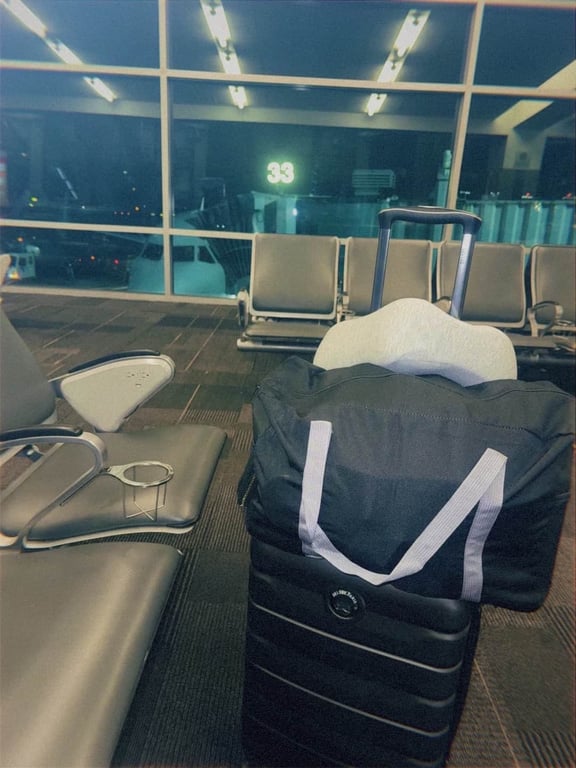Need advice for future travels — is there an airline you swear by (US travel primarily), you are absolutely loyal to? Tell me why, comment for “other”!