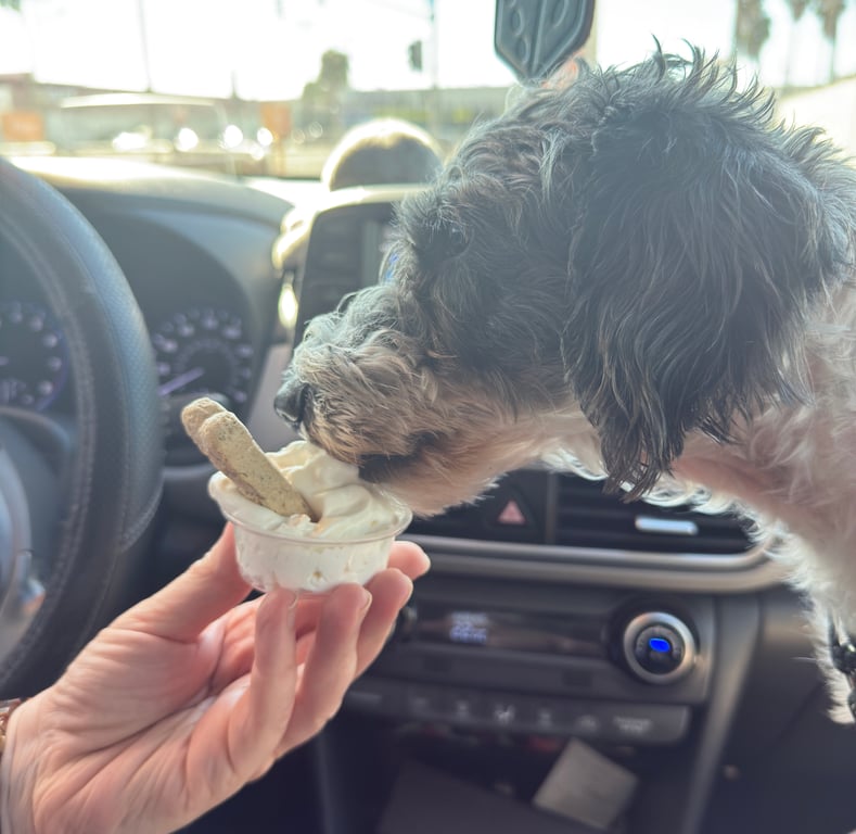 Does your pup love a pup cup?