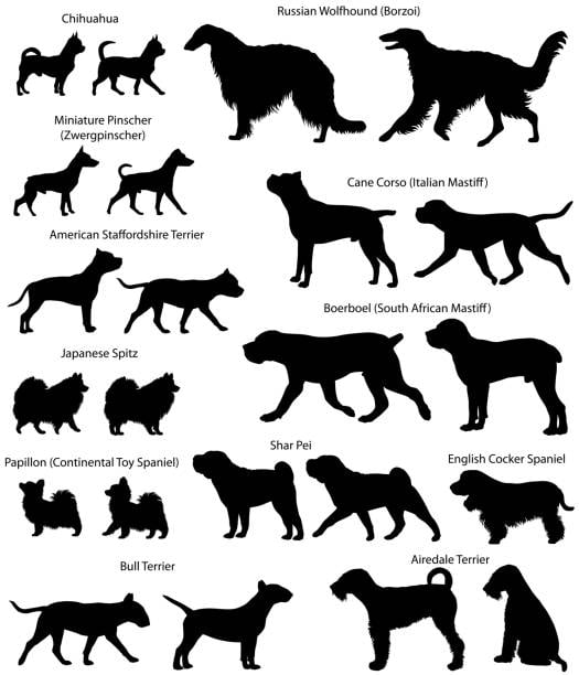 I know so.e of these dog silhouette look like dinosaurs, but what type of dog do you prefer if you had space, time and free food for them?