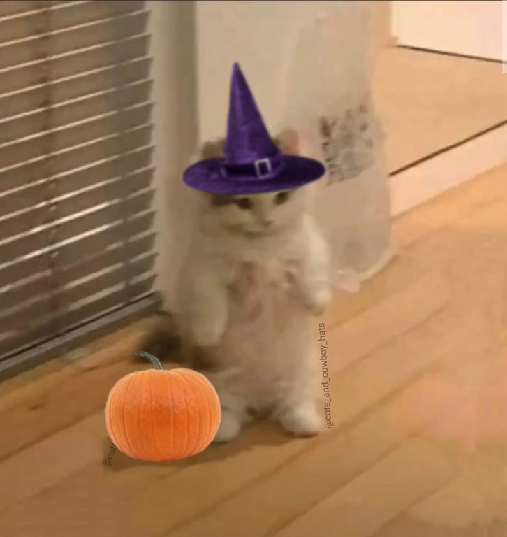 Does spooky season start on September 1 or October 1?
