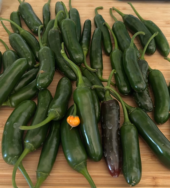  Which spicy pepper do you prefer?