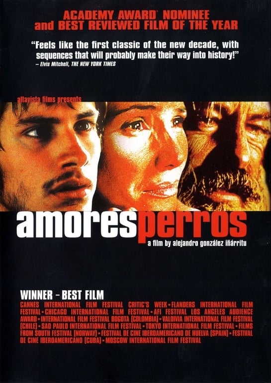 Would you refuse to watch a great movie solely because it requires  subtitles?