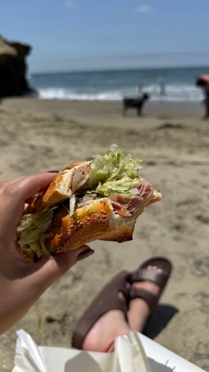 A torpedo on the beach is…