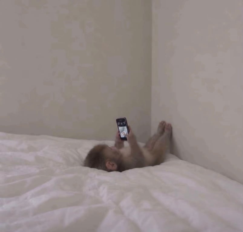 Do you think scrolling on social media is good or bad for you