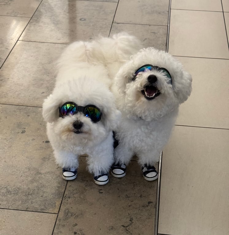 Saw these guys in the airport. Would you feel safer if you got on a flight and they were there?