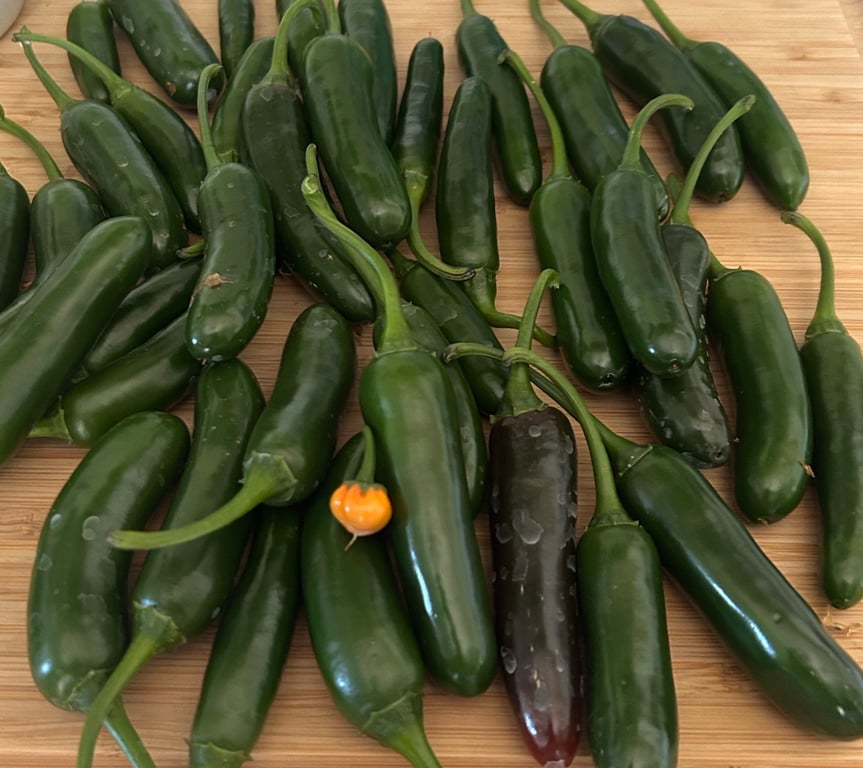 Which is going to be the hottest 